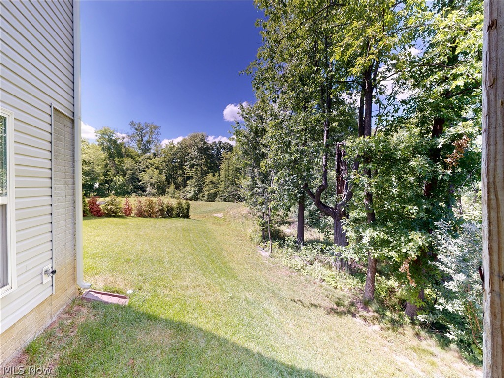 1223 Selena Grove Property Photo 49