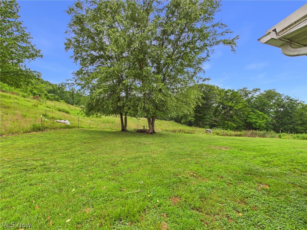 599 Rush Fork Road Property Photo 46