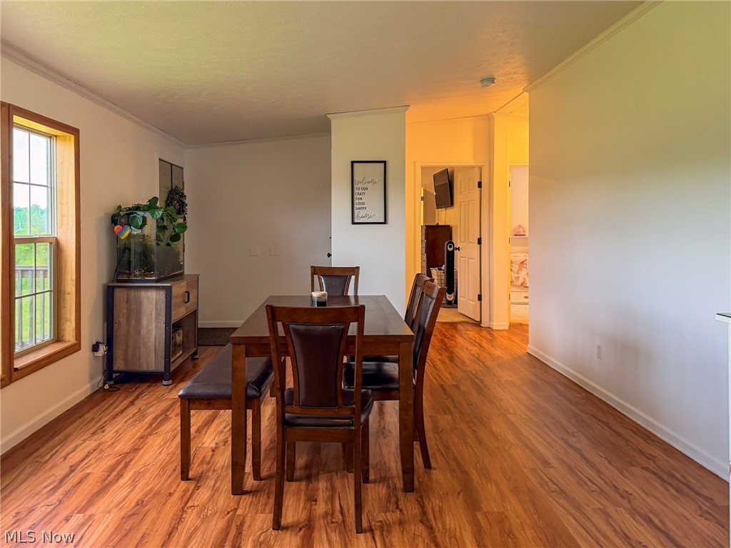 405 County Road 681 Property Photo 27