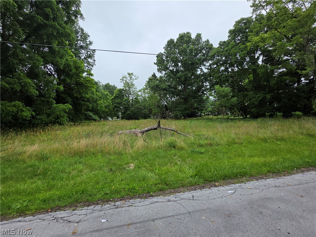 420 Jarvis Road Property Photo 1