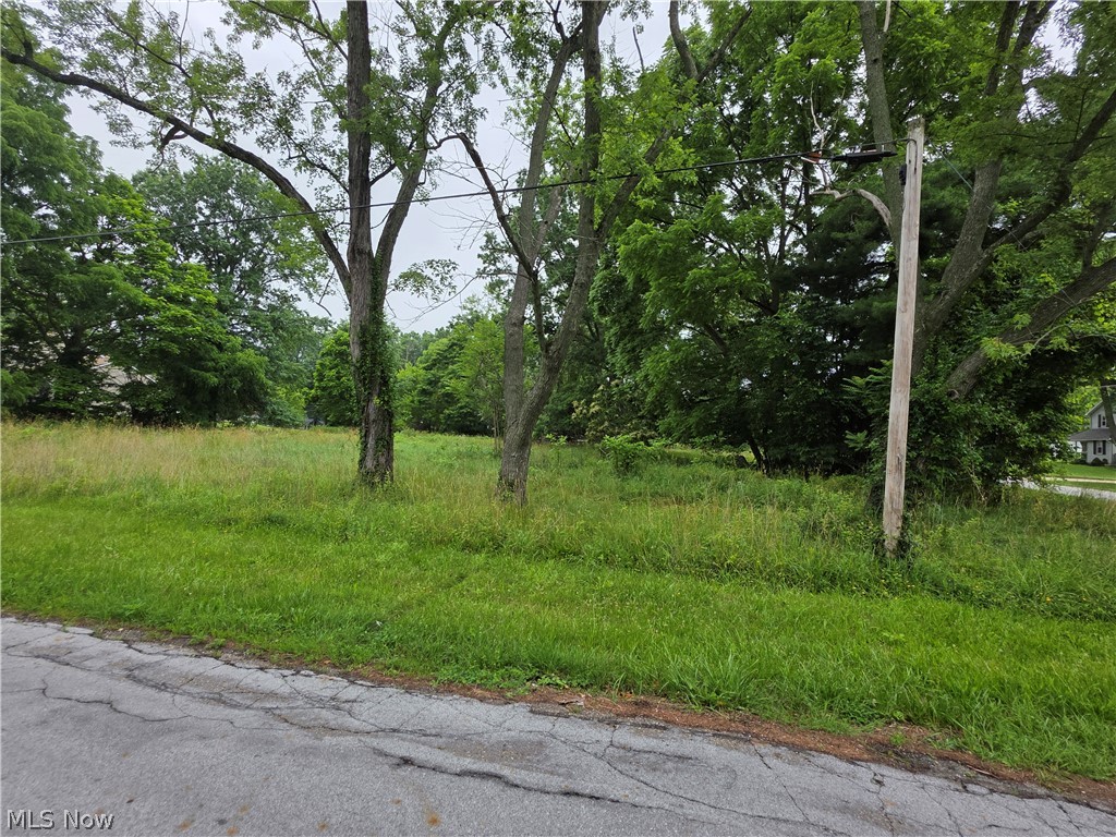 420 Jarvis Road Property Photo 2