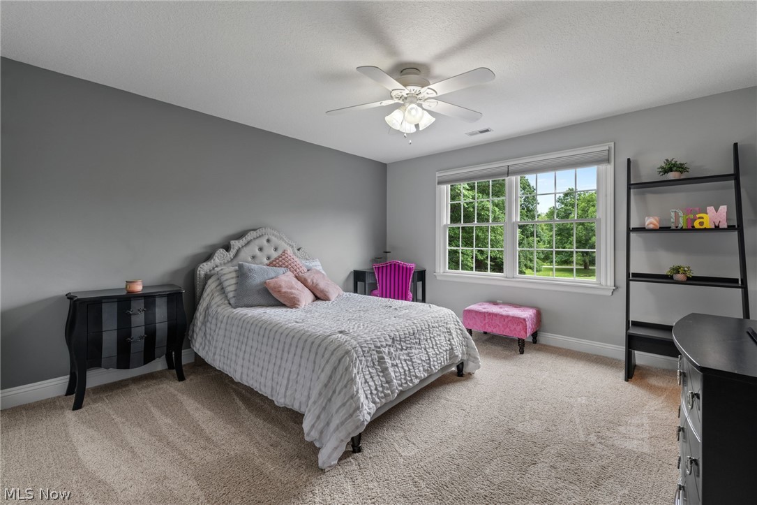 41340 Spring Hill Road Property Photo 31