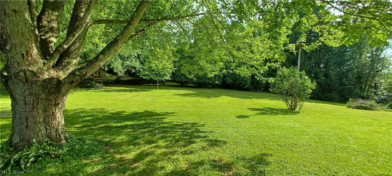 13900 South Avenue Property Photo 4