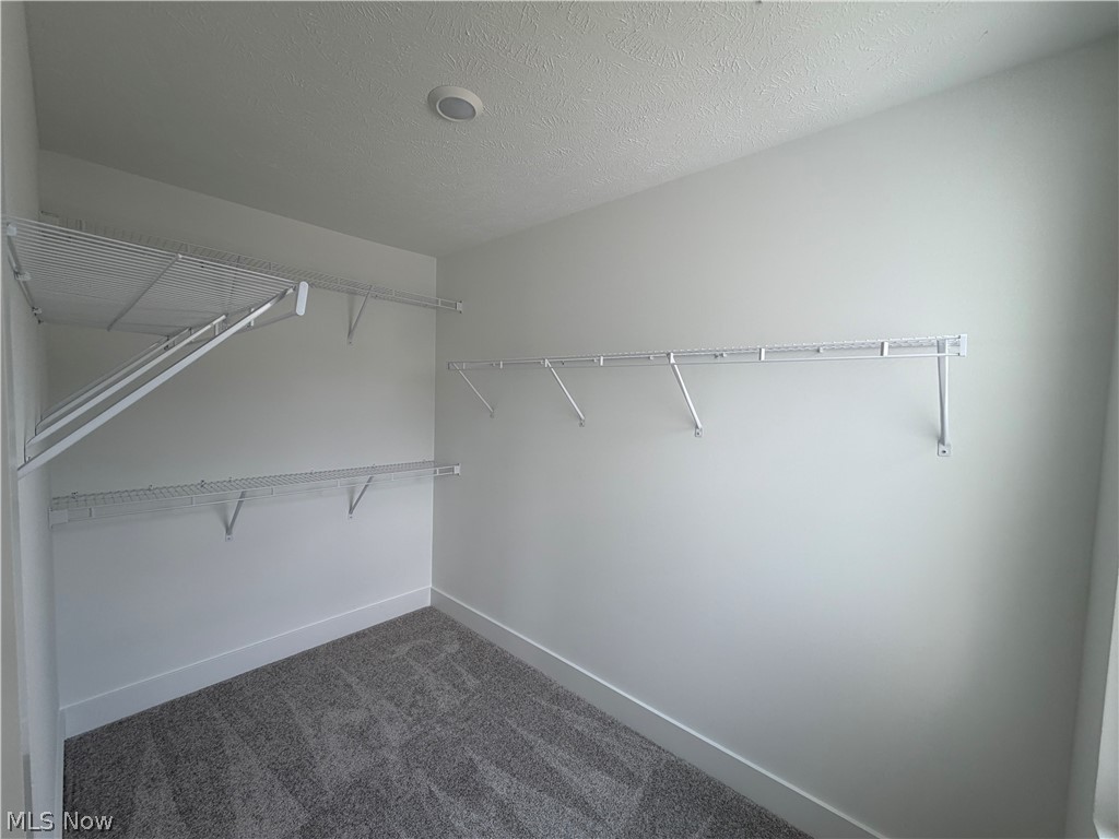 32736 Sandridge Run Property Photo 8