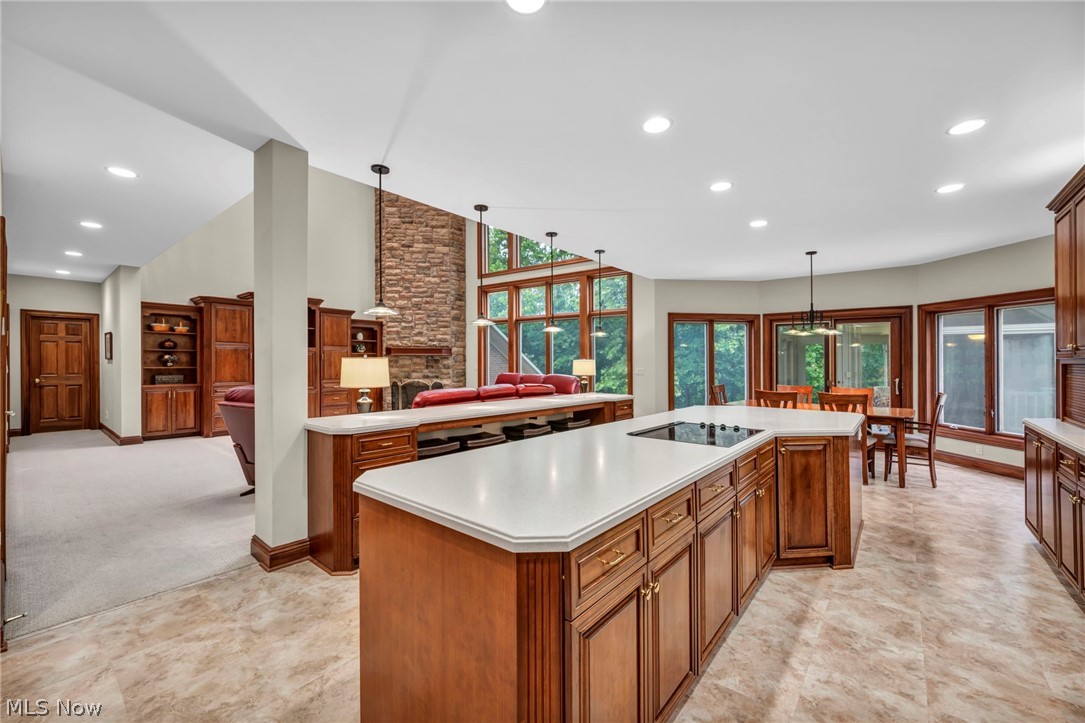 7282 Pinehill Road Property Photo 19