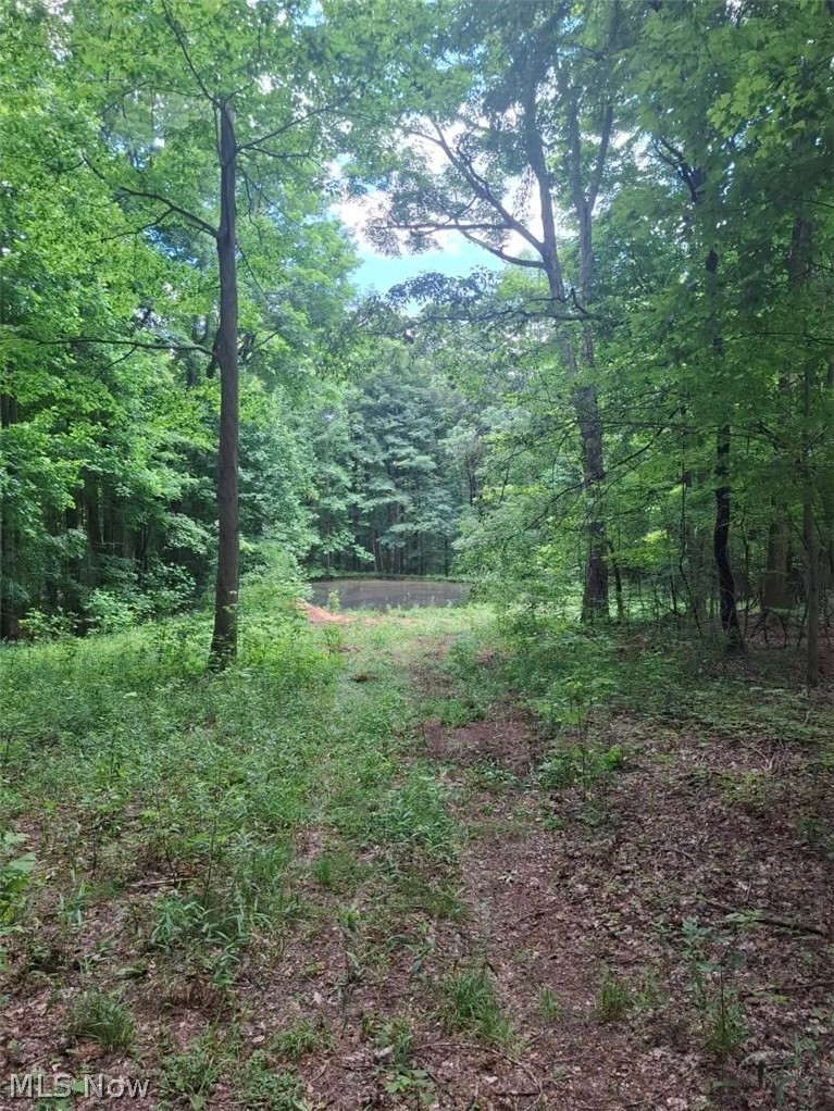 10381 Mulberry Road