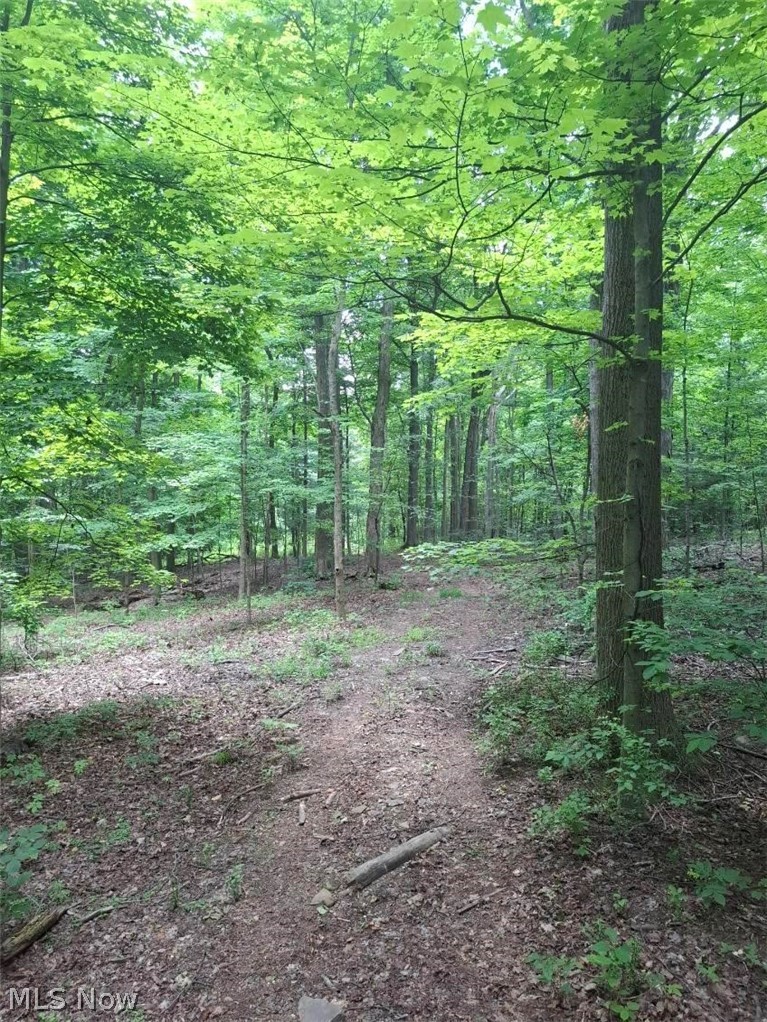 10381 Mulberry Road Property Photo 2