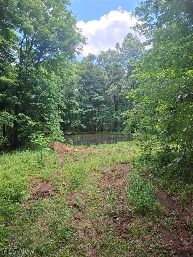 10381 Mulberry Road Property Photo 3