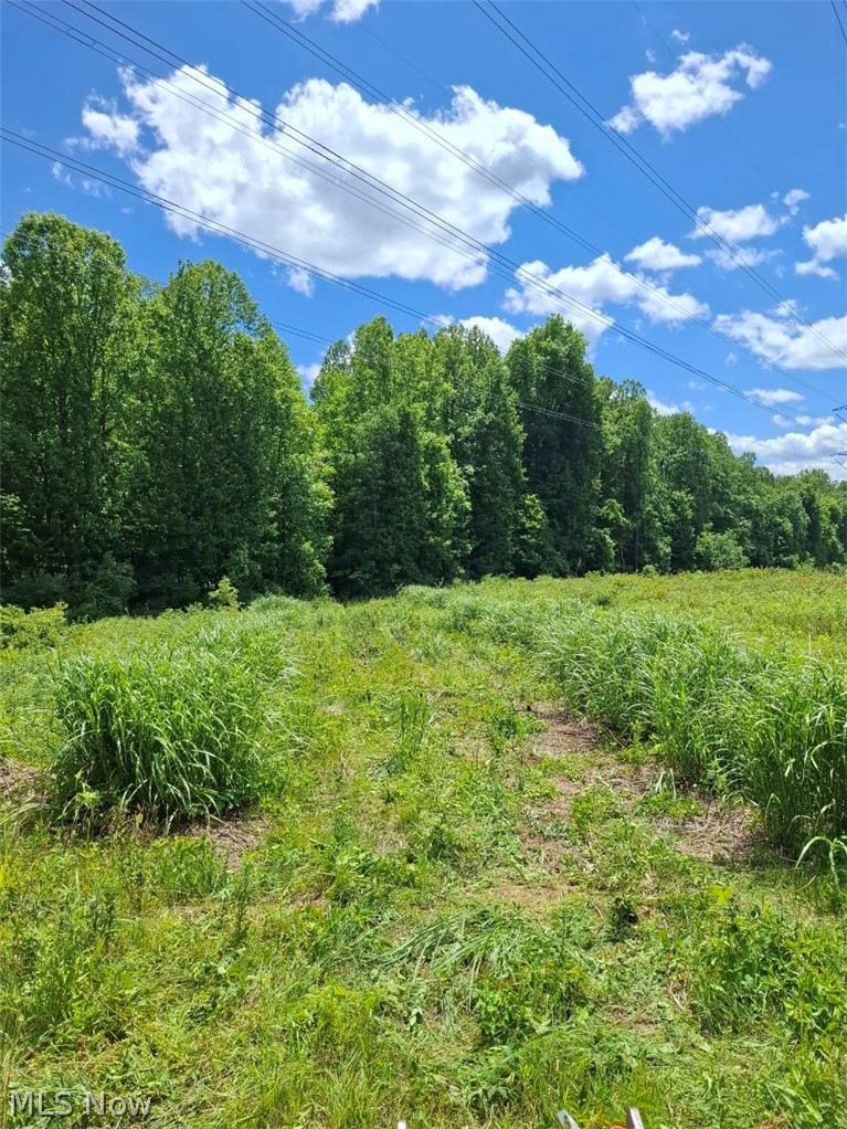 10381 Mulberry Road Property Photo 4