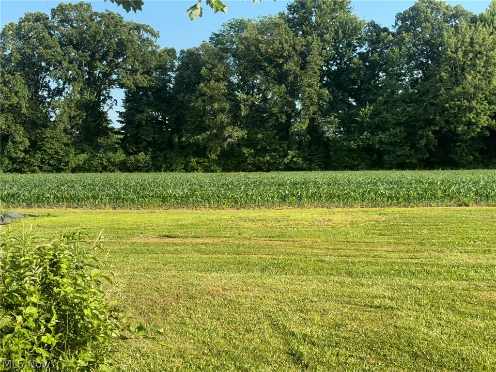 12096 Baumhart Road Property Photo 44