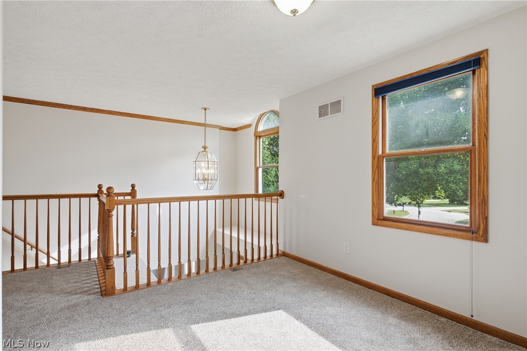 2817 Alling Drive Property Photo 21