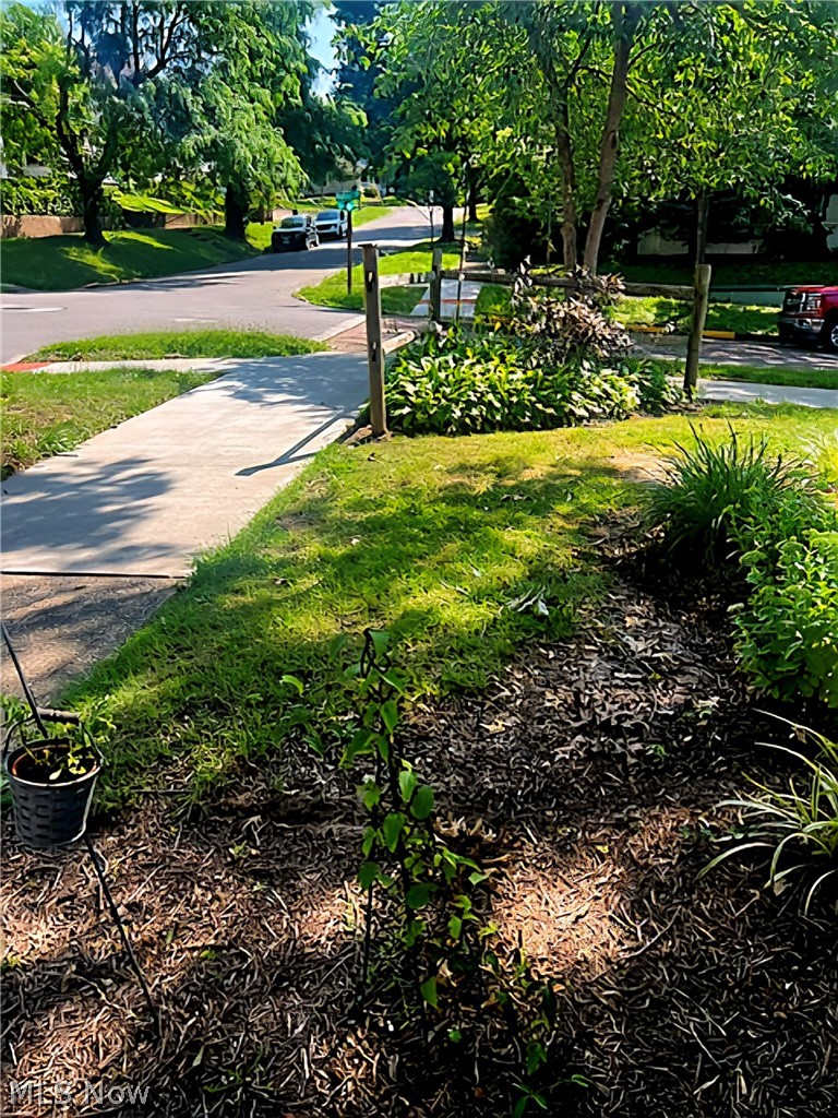 328 Oakwood Avenue Property Photo 3