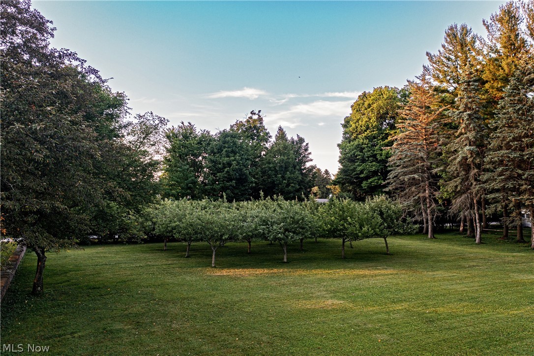 9498 Smith Road Property Photo 42