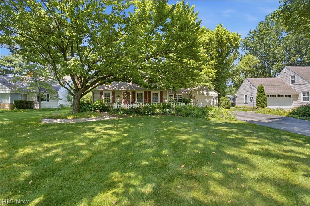 30210 Wolf Road Property Photo 3