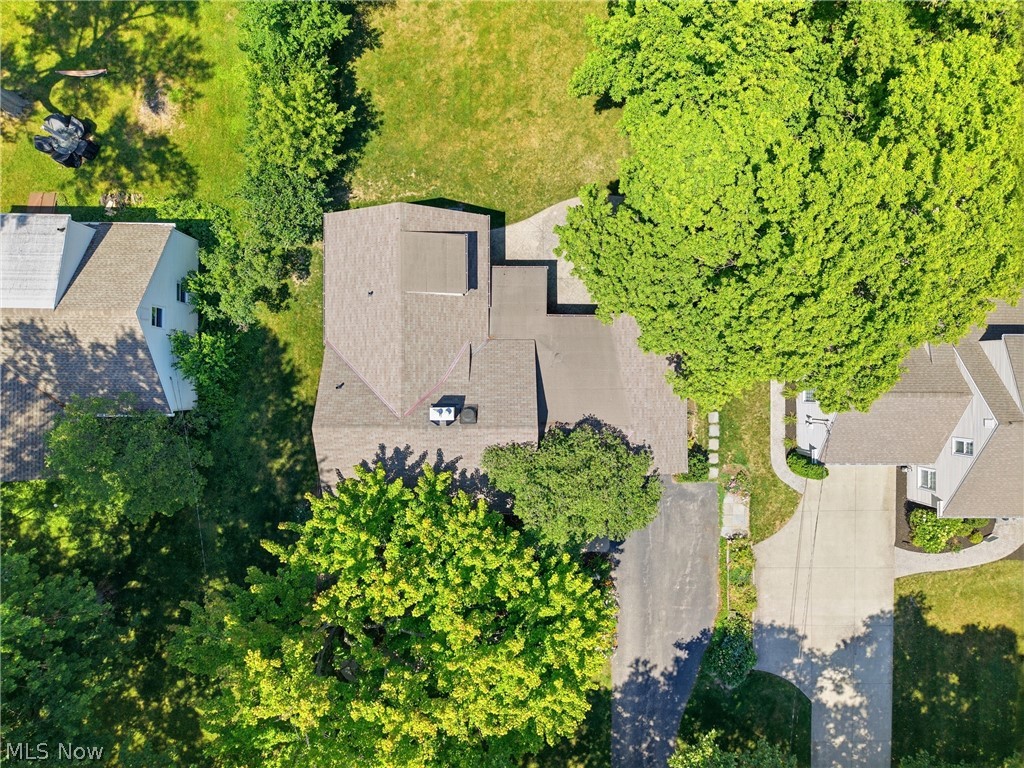 30210 Wolf Road Property Photo 47