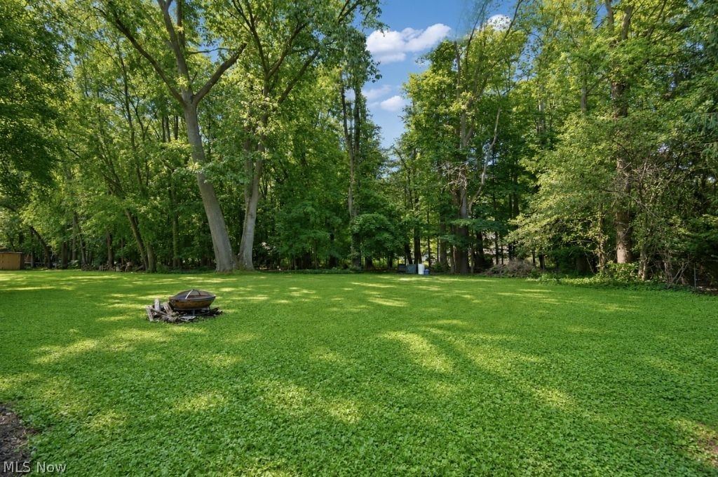 8252 Plains Road Property Photo 10