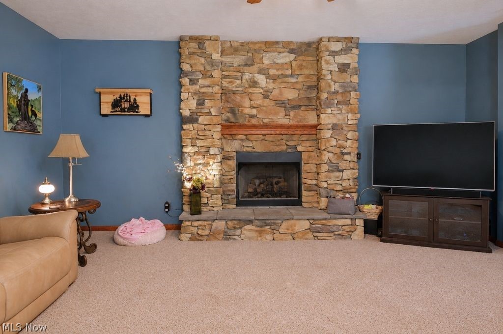8252 Plains Road Property Photo 20