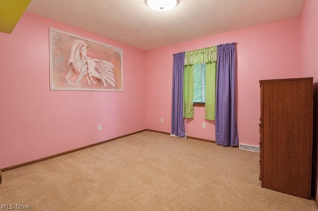 8252 Plains Road Property Photo 32