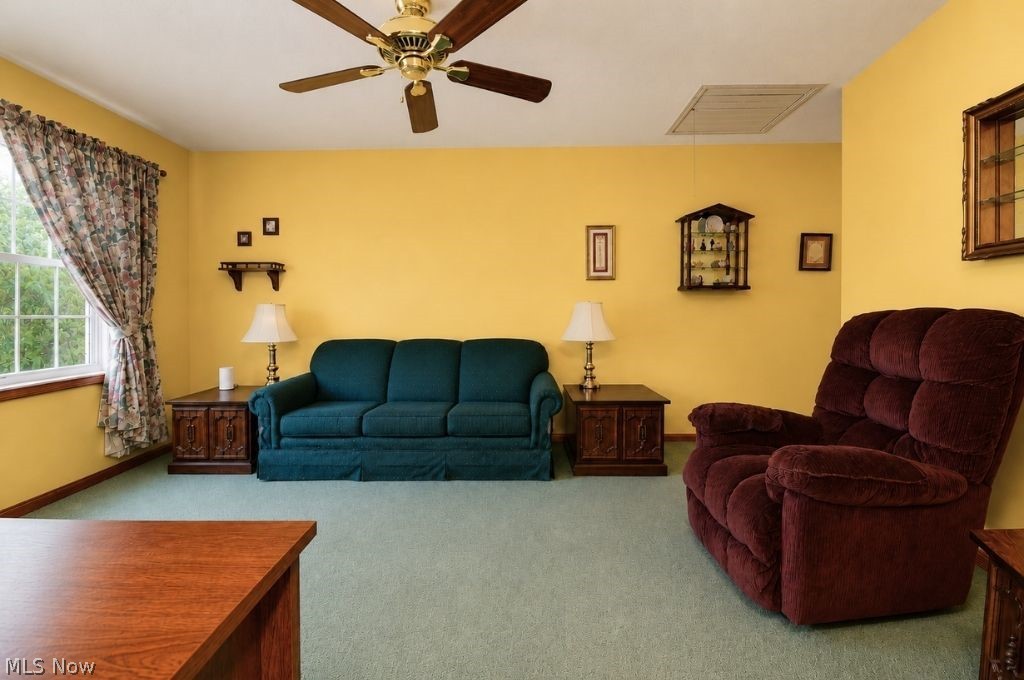 8252 Plains Road Property Photo 41