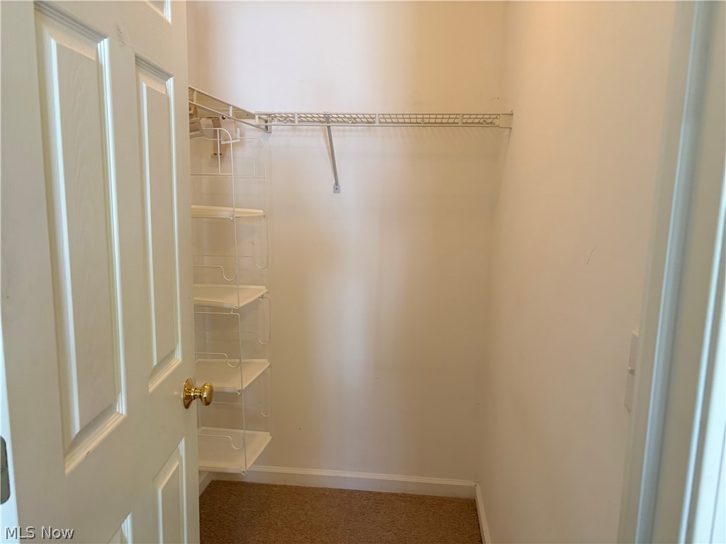 424 Harbor Ridge Lane Property Photo 16