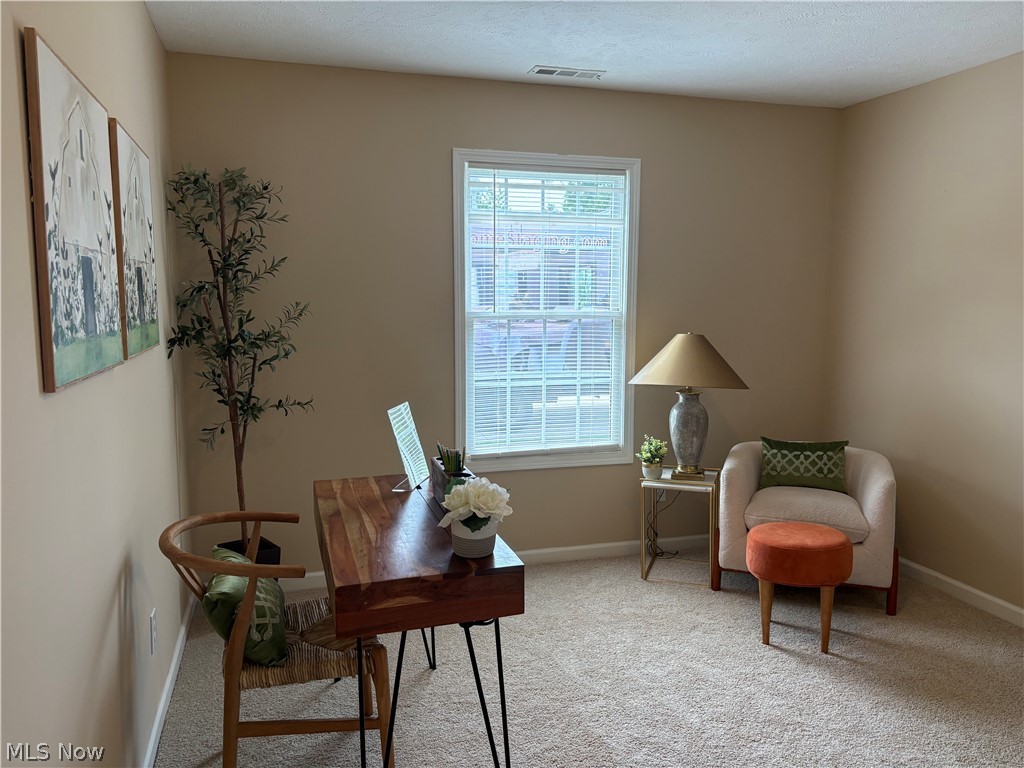 424 Harbor Ridge Lane Property Photo 16