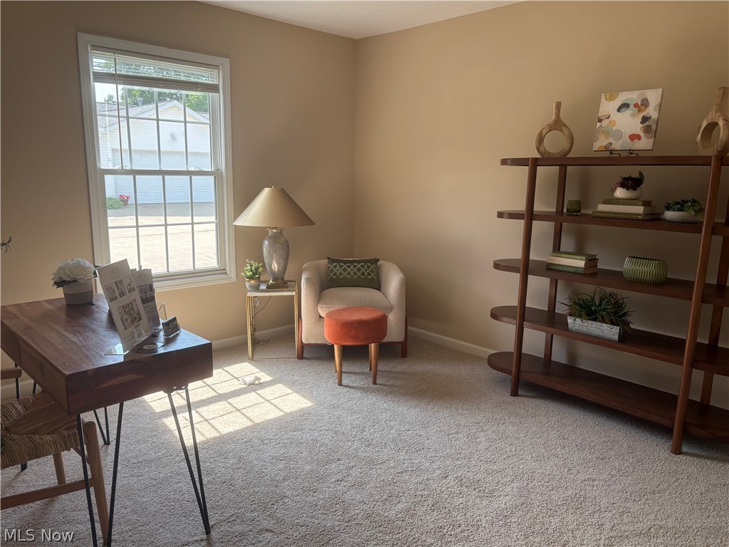 424 Harbor Ridge Lane Property Photo 19