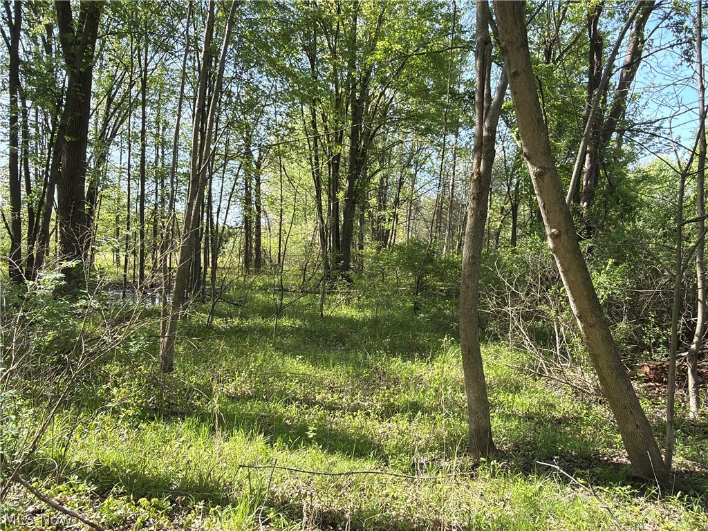 Rear Property Photo 3