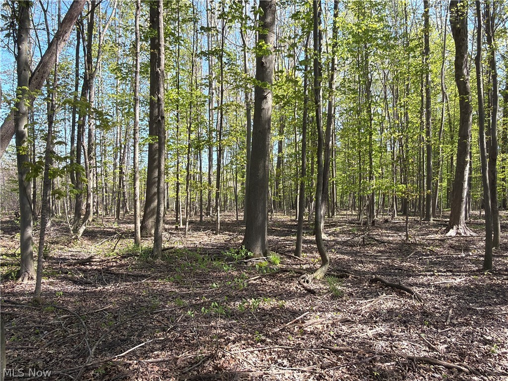 Rear Property Photo 6