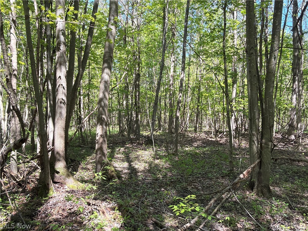 Rear Property Photo 8