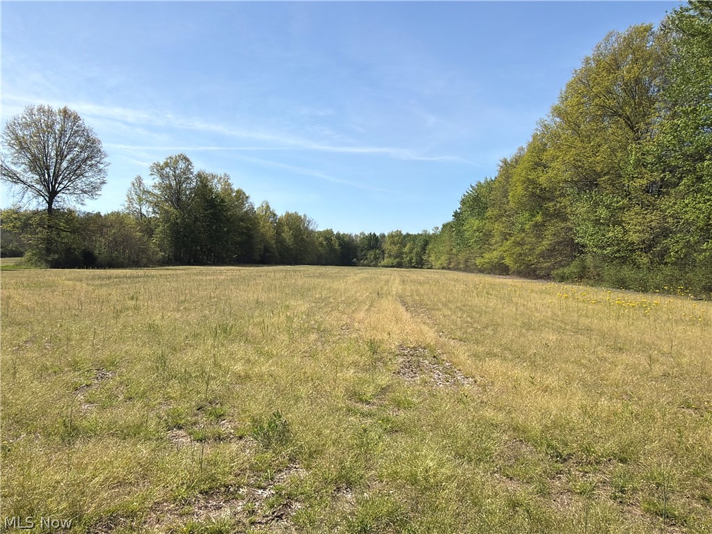 Rear Property Photo 10
