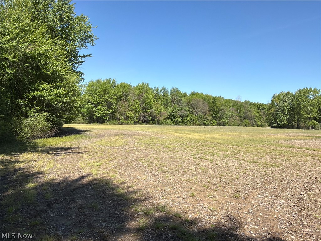 Rear Property Photo 12