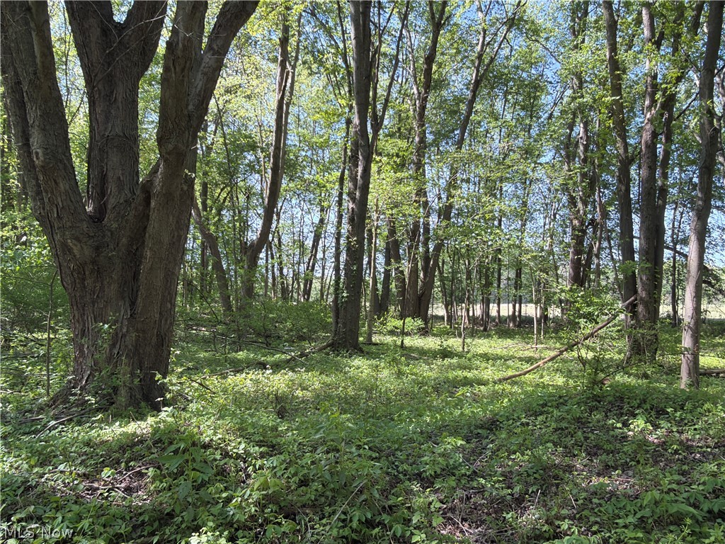Rear Property Photo 13