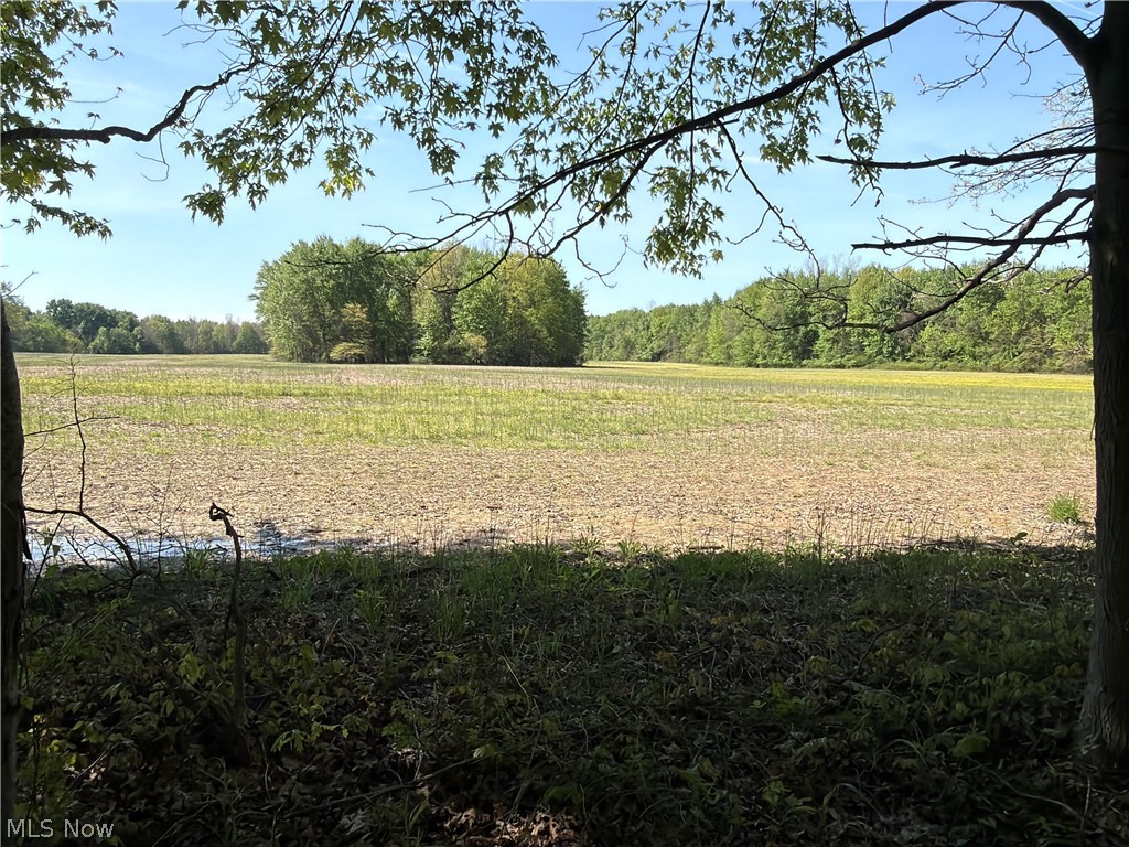 Rear Property Photo 14
