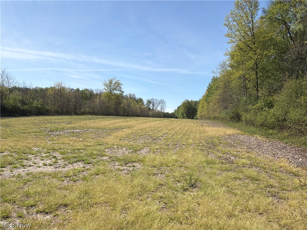 Rear Property Photo 15