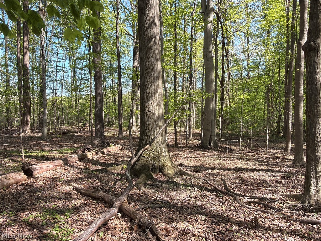 Rear Property Photo 16
