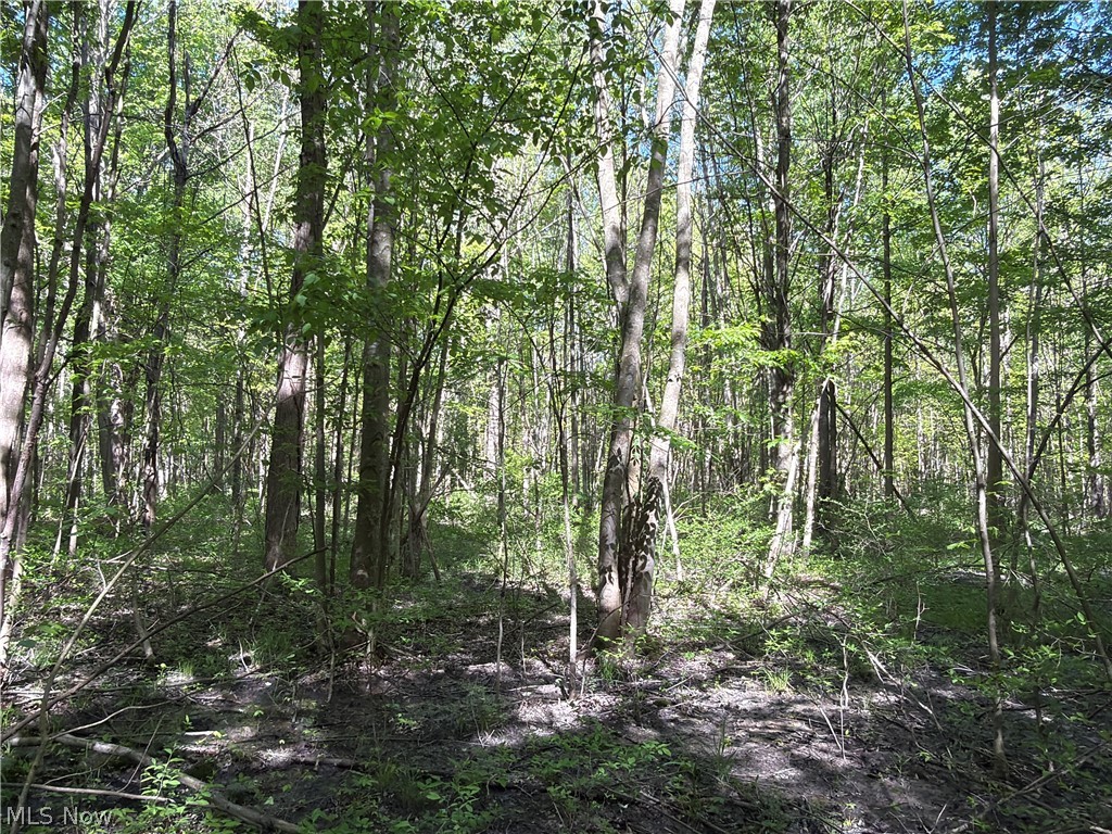 Rear Property Photo 17