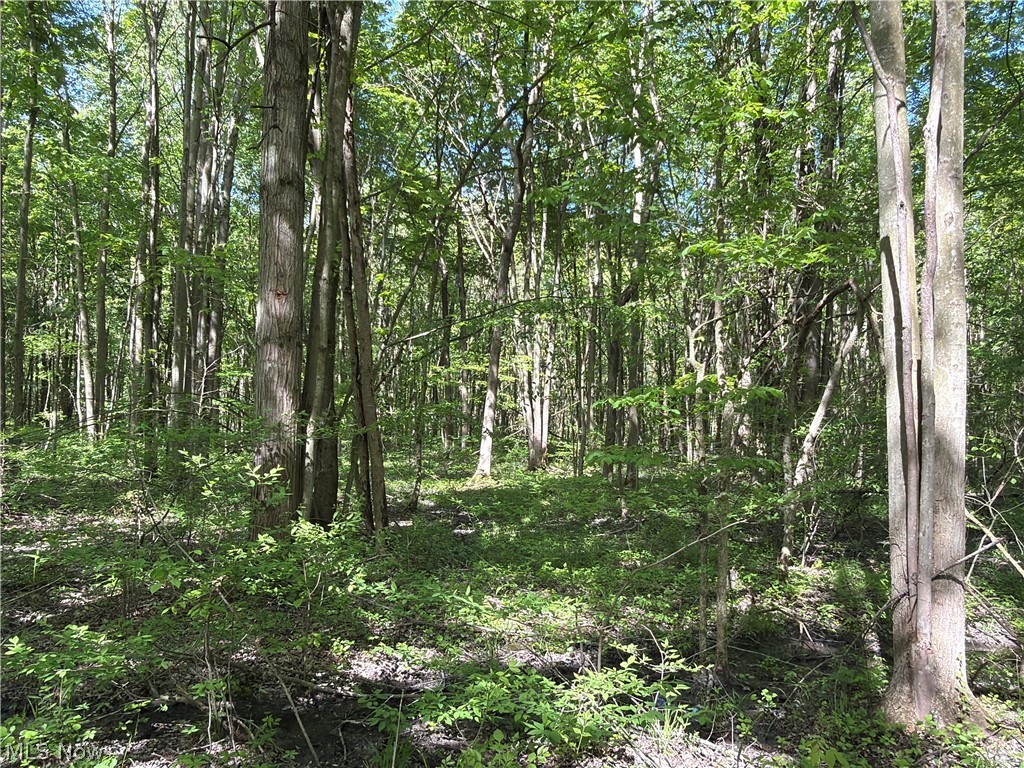 Rear Property Photo 18