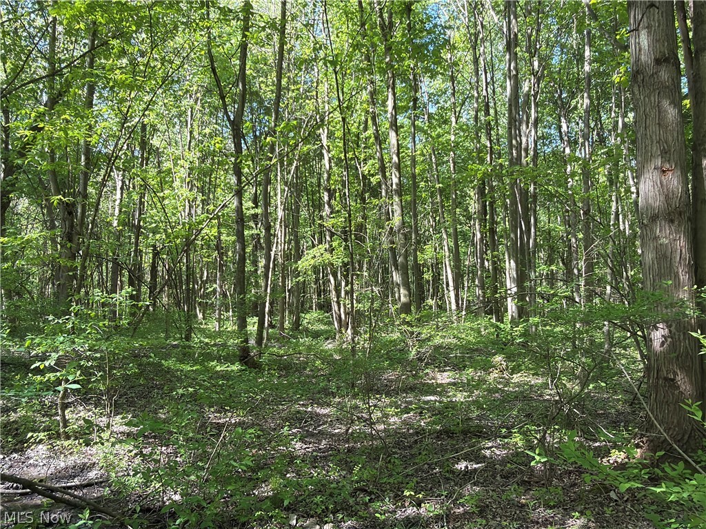 Rear Property Photo 19