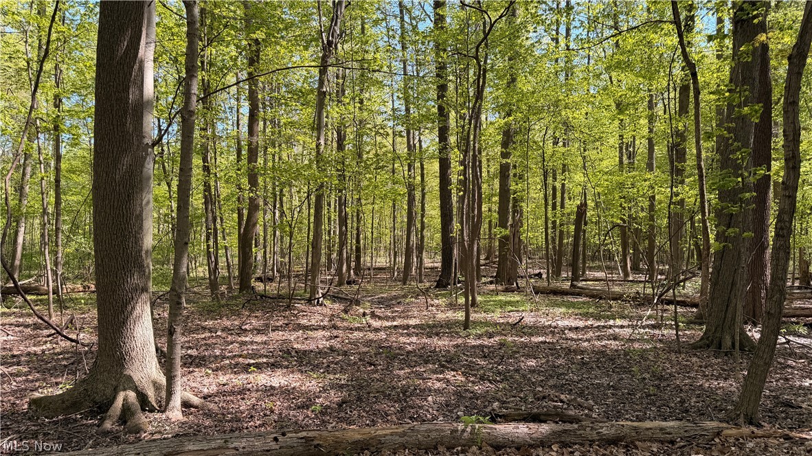 Rear Property Photo 20