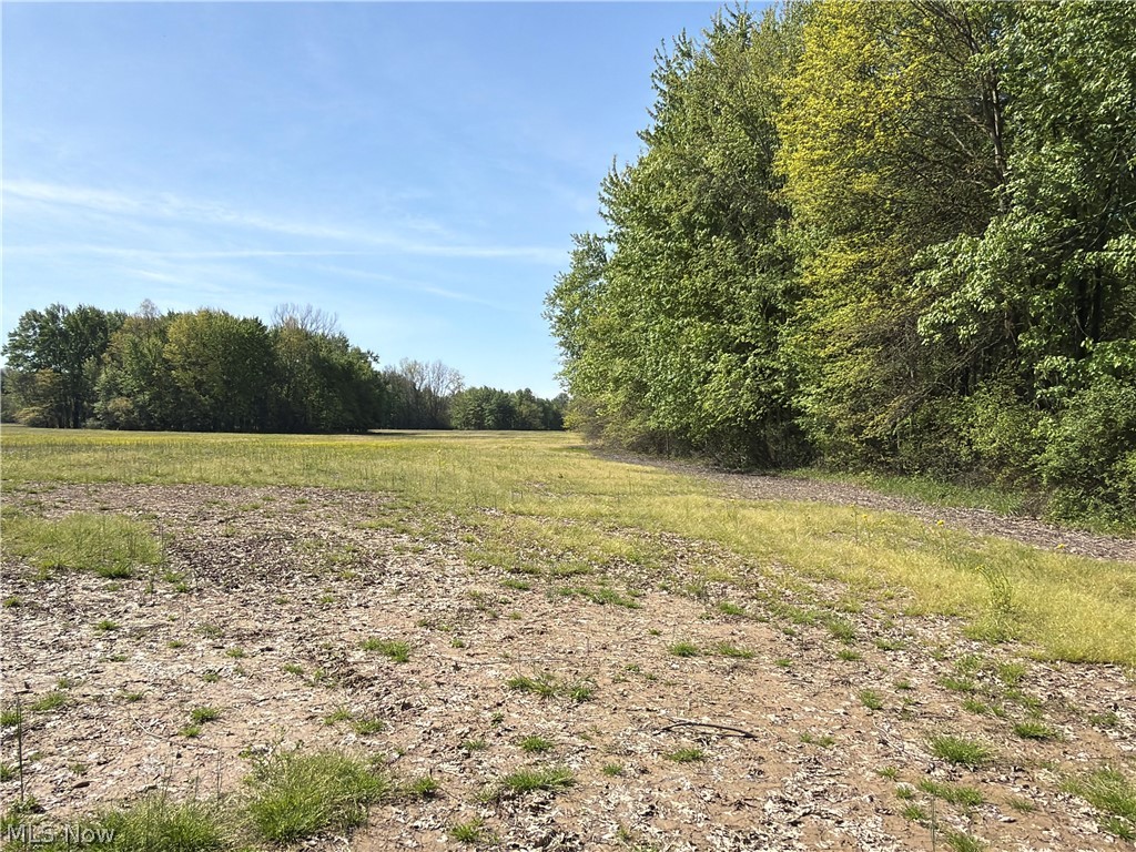 Rear Property Photo 21