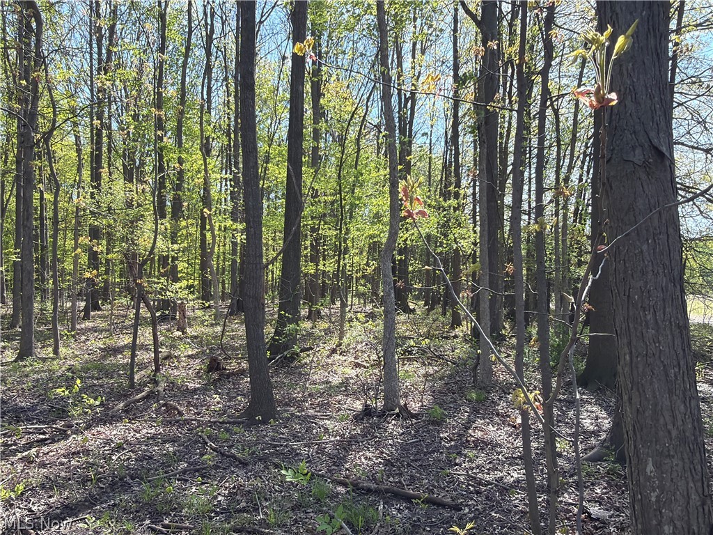 Rear Property Photo 24