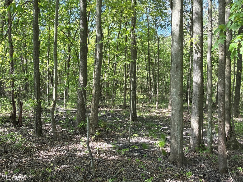 Rear Property Photo 25