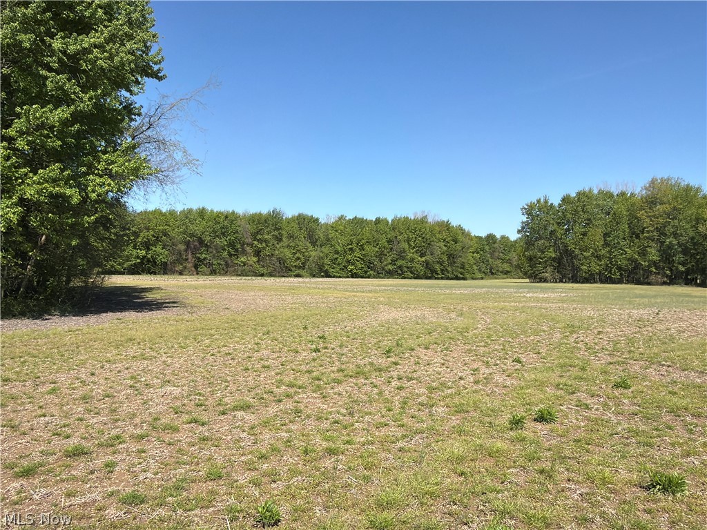 Rear Property Photo 26