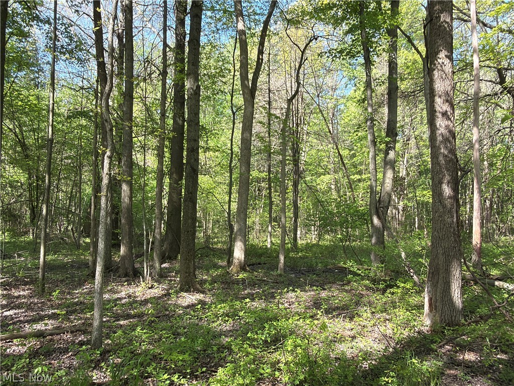 Rear Property Photo 27