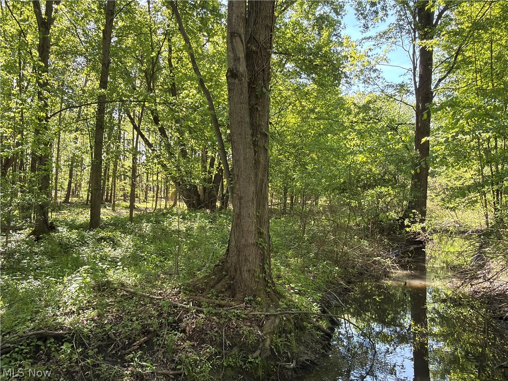 Rear Property Photo 30