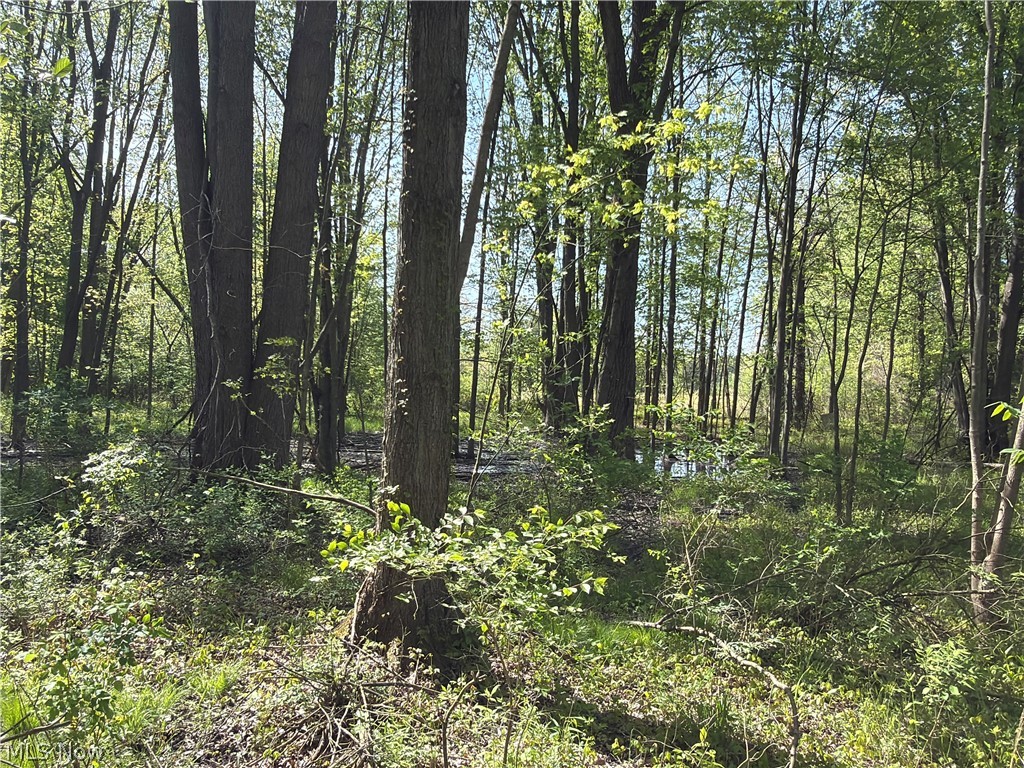 Rear Property Photo 31