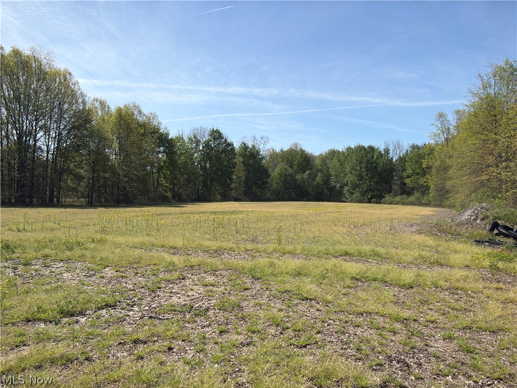 Rear Property Photo 32