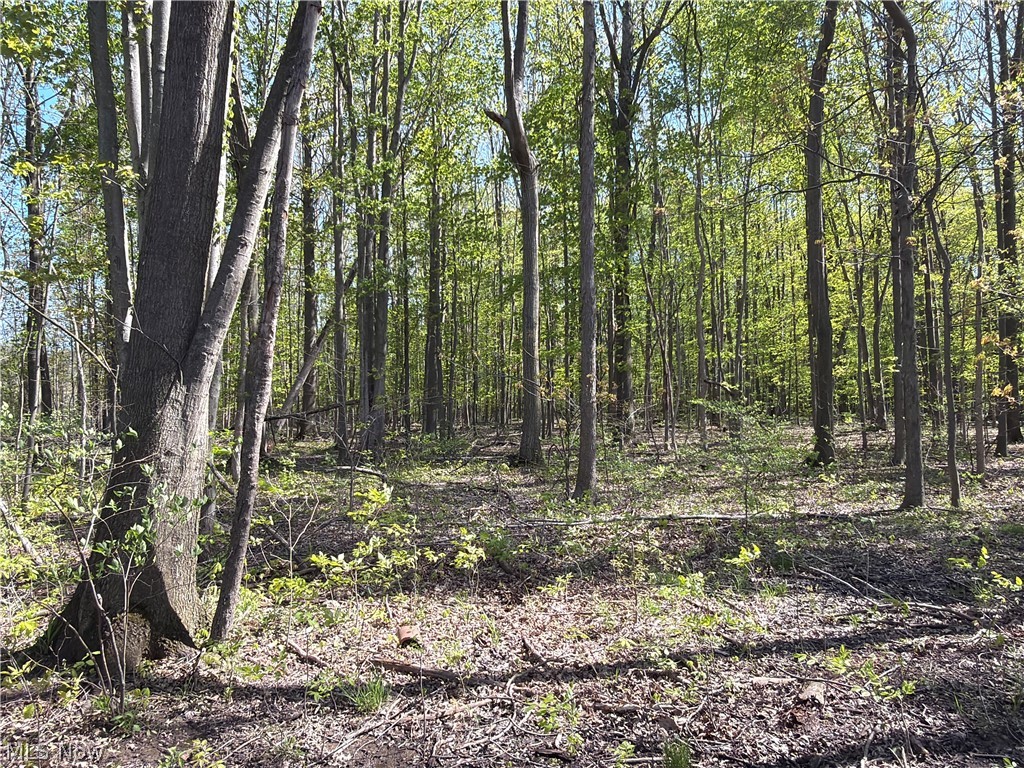 Rear Property Photo 33