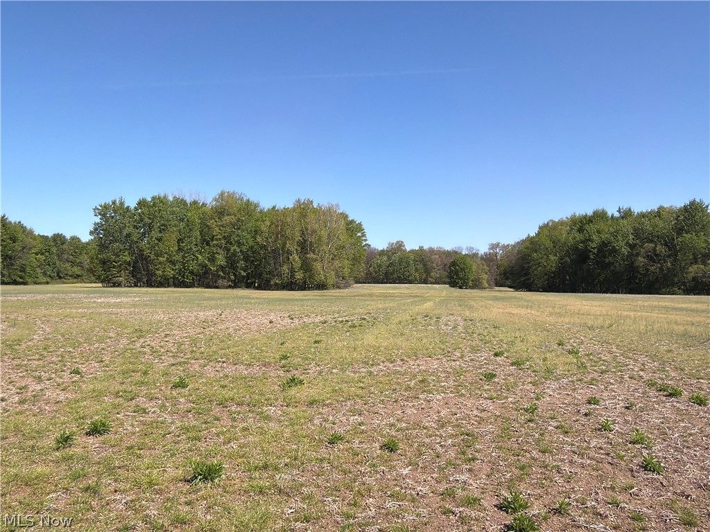 Rear Property Photo 34