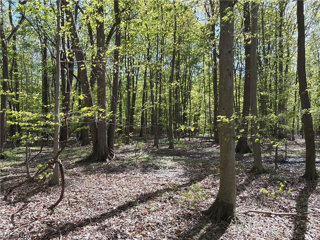 Rear Property Photo 35